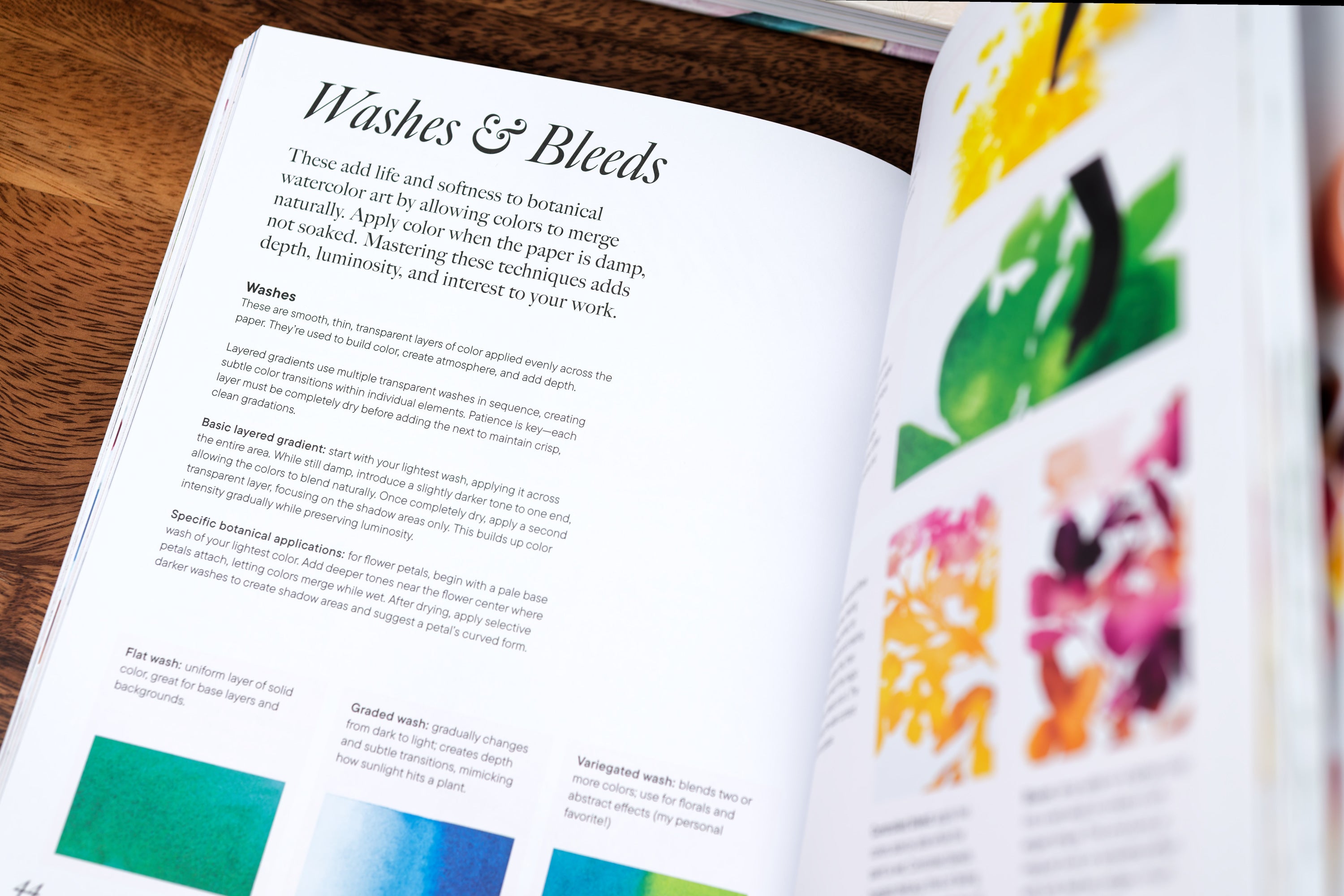 Modern Botanical Watercolor