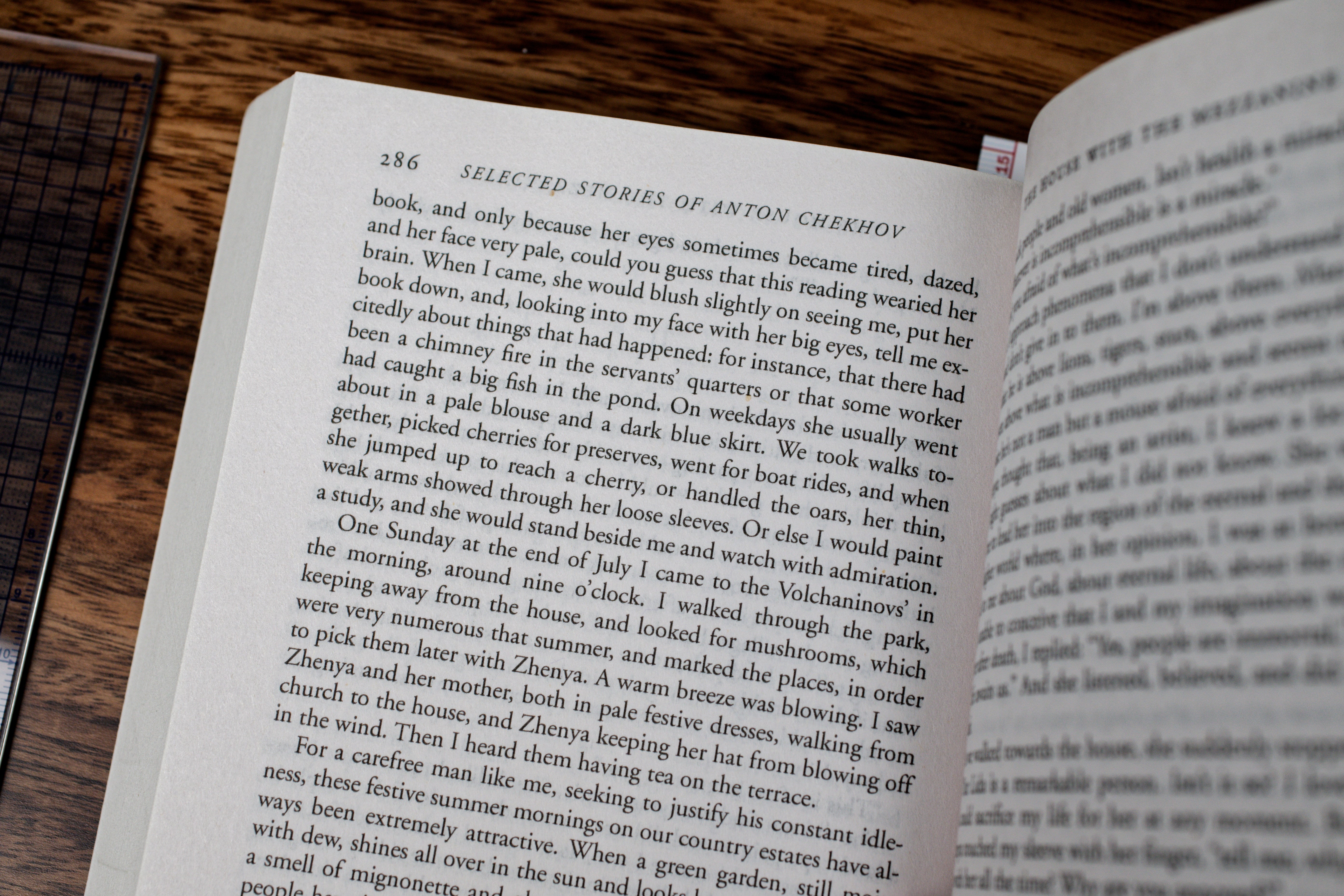 Selected Short Stories of Anton Chekhov