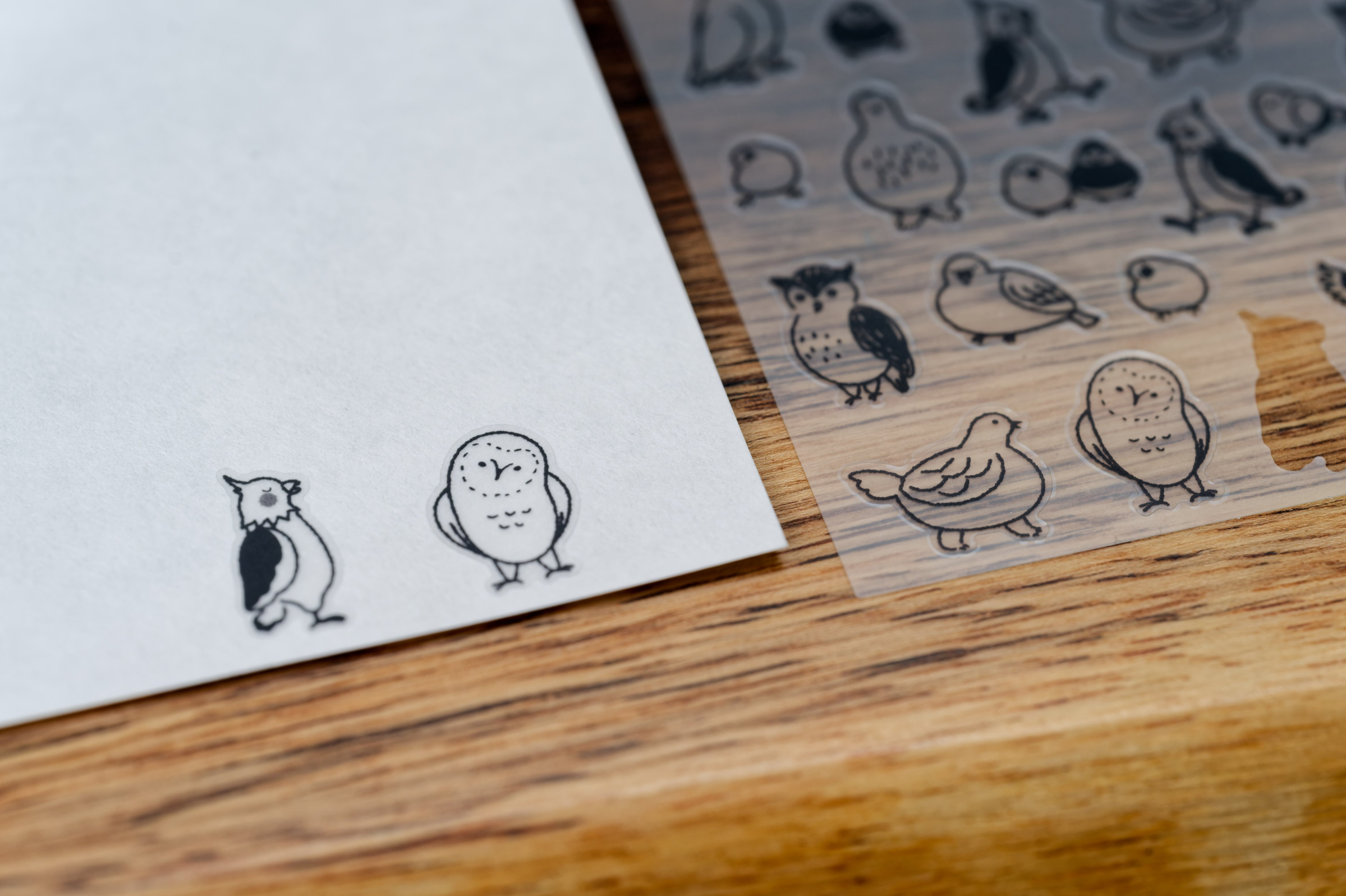 Chatty Birds Sticker Sheet