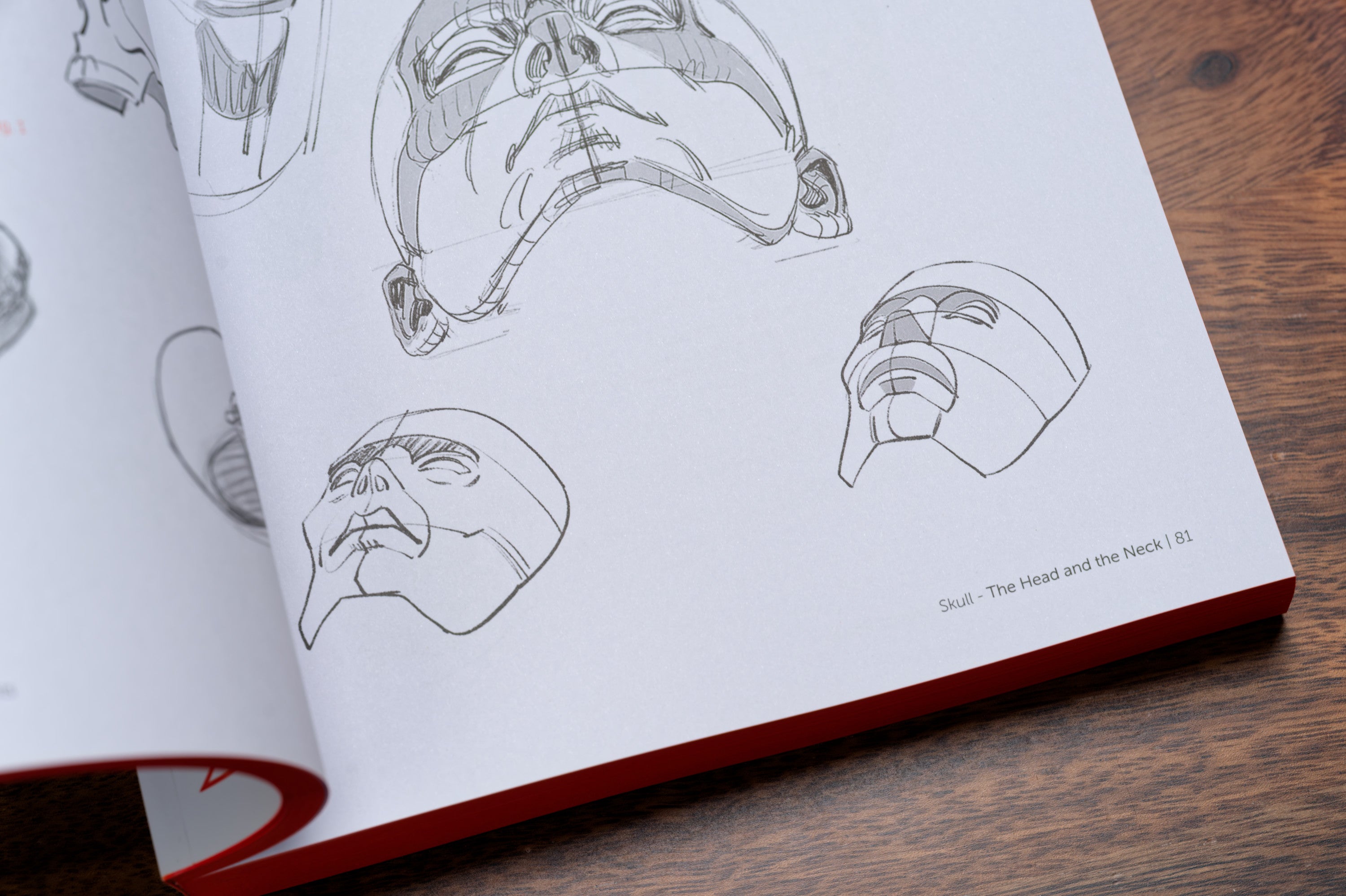Morpho: Anthology of Artistic Anatomy
