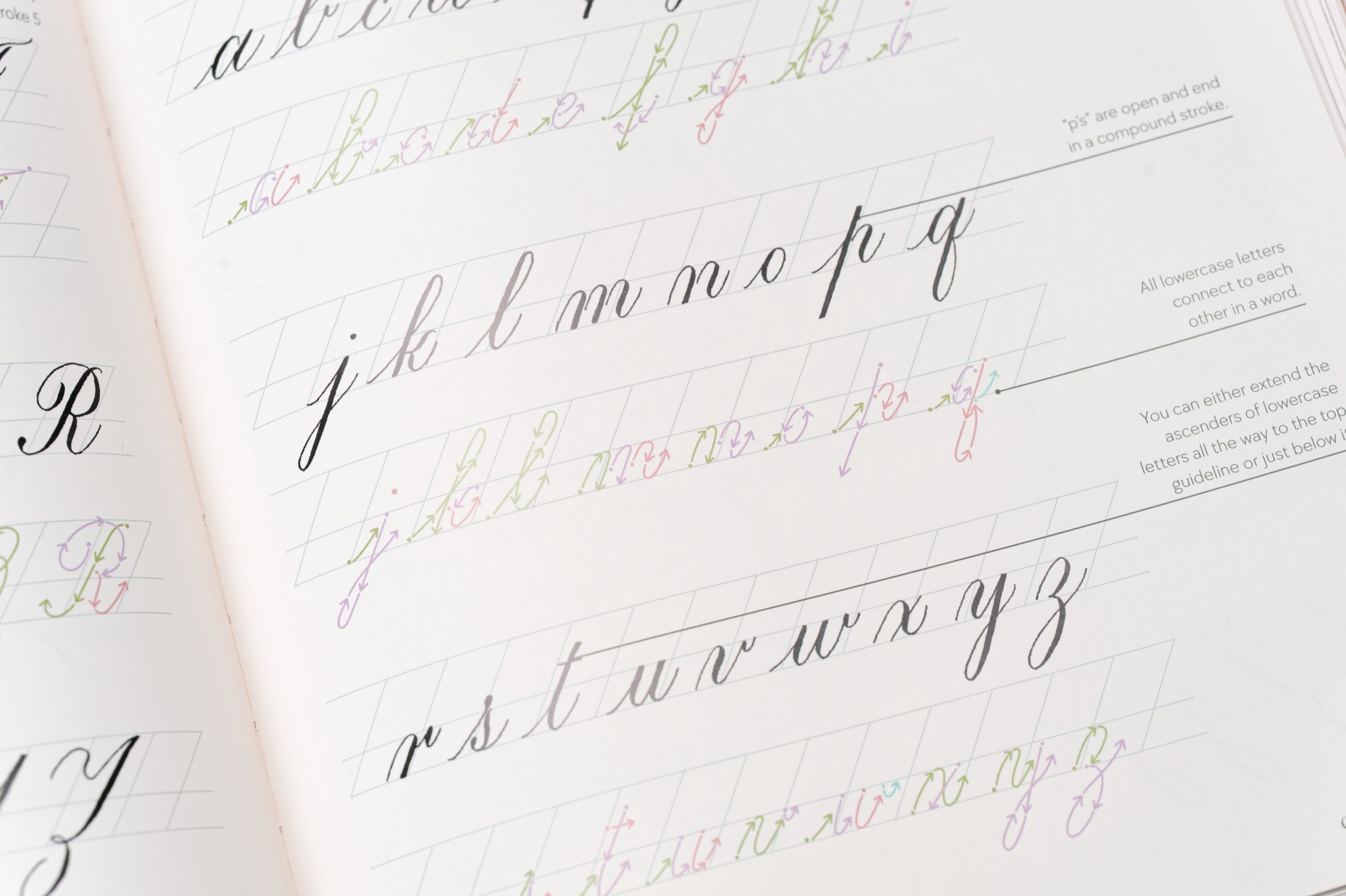 The Calligraphy Book