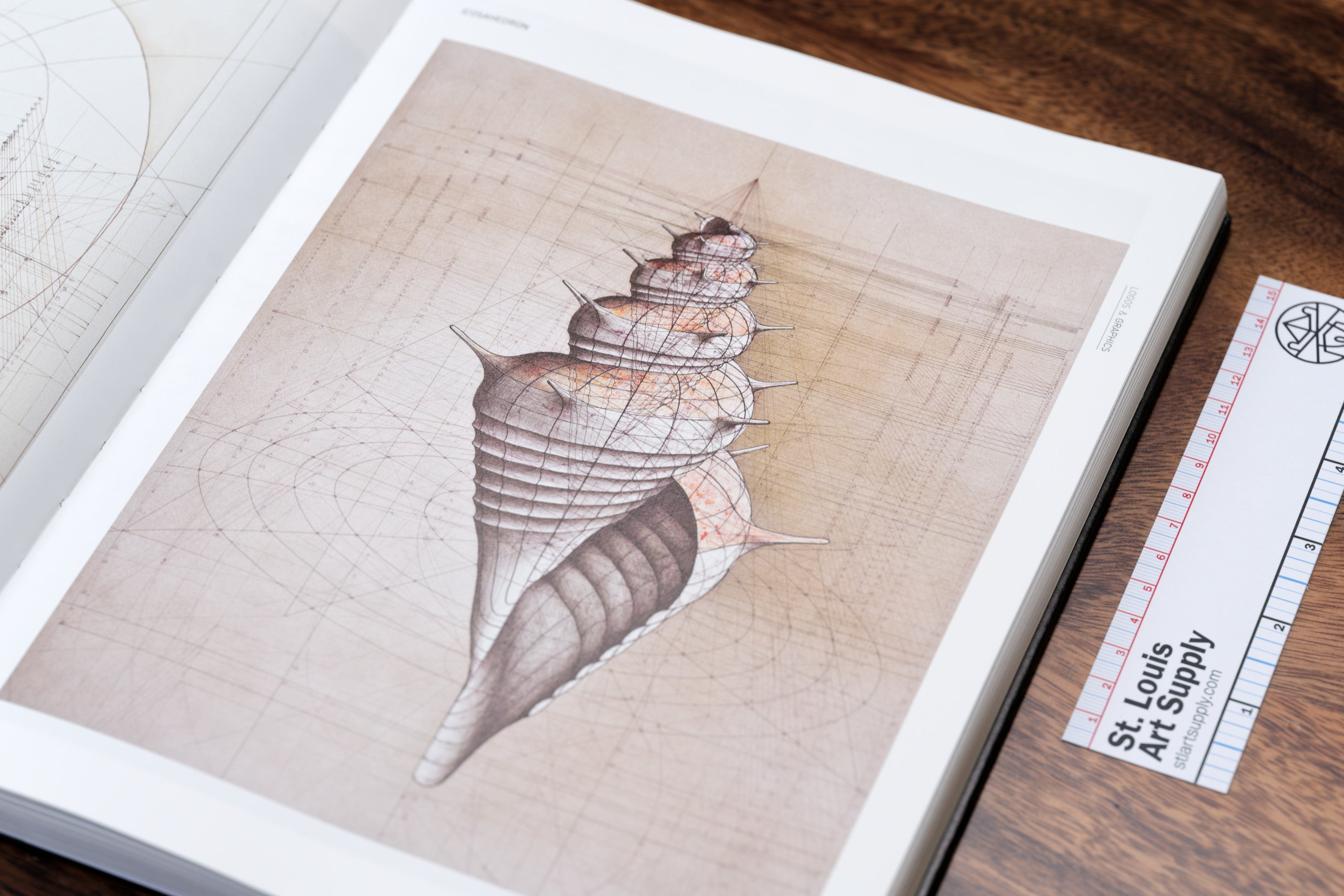 Visual Harmony: Proportion in Graphic Design