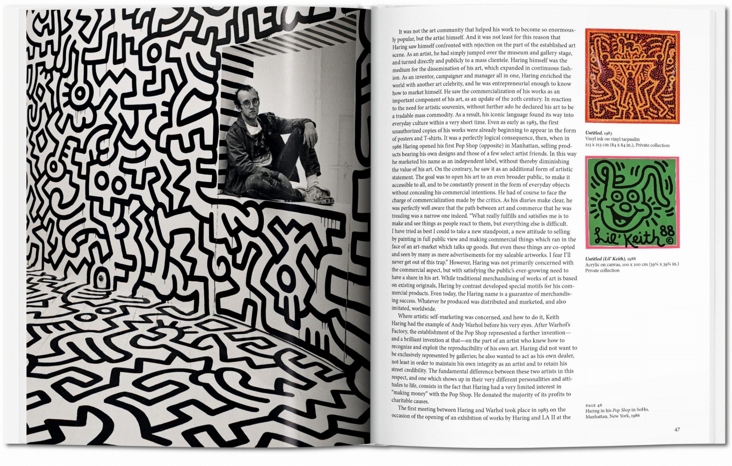 Haring (Basic Art)