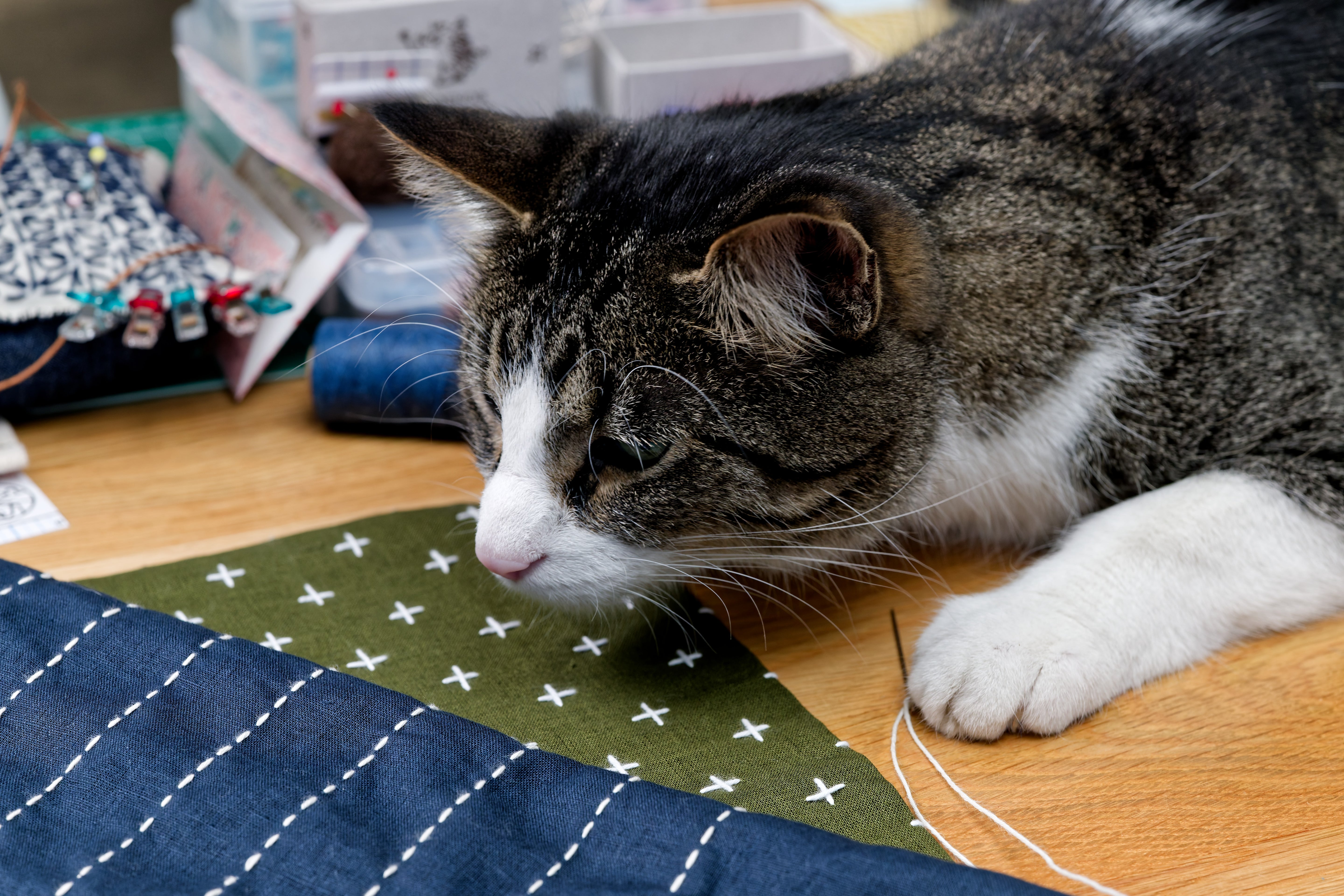Sashiko Cloth with Disappearing Lines (Tan/Chevrons)