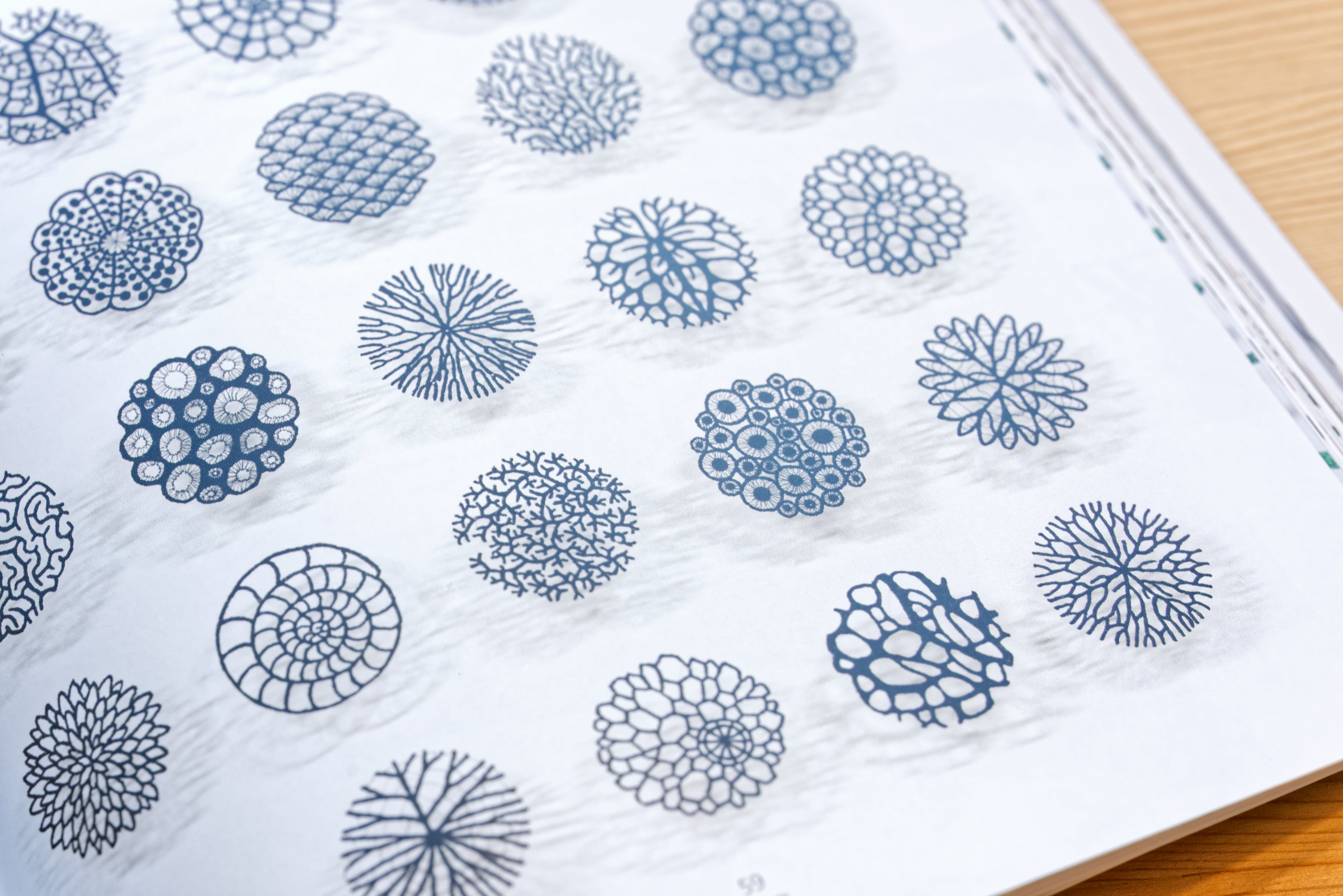 Organic Embroidery