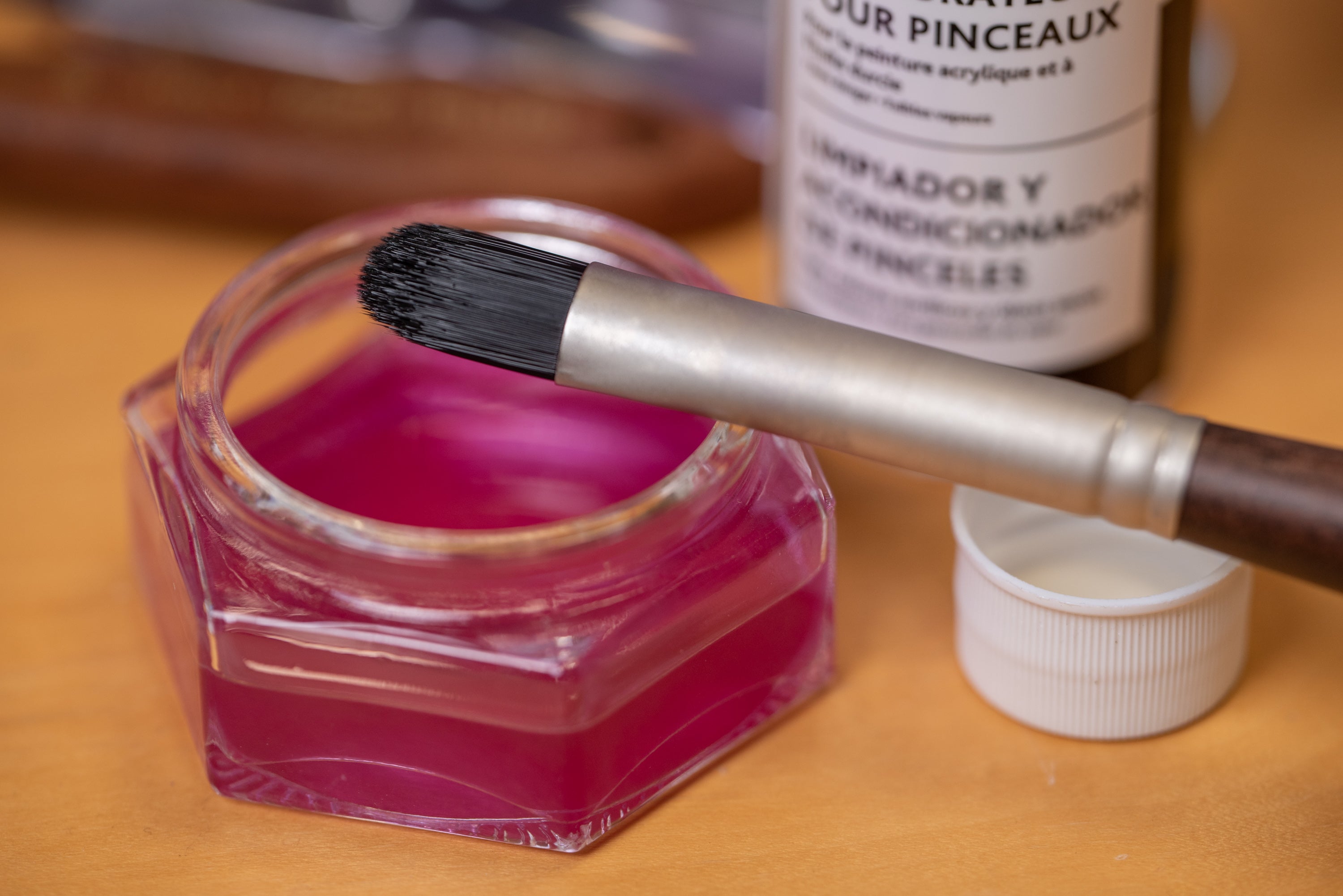 Raphaël D-Brushes for Oil and Acrylic