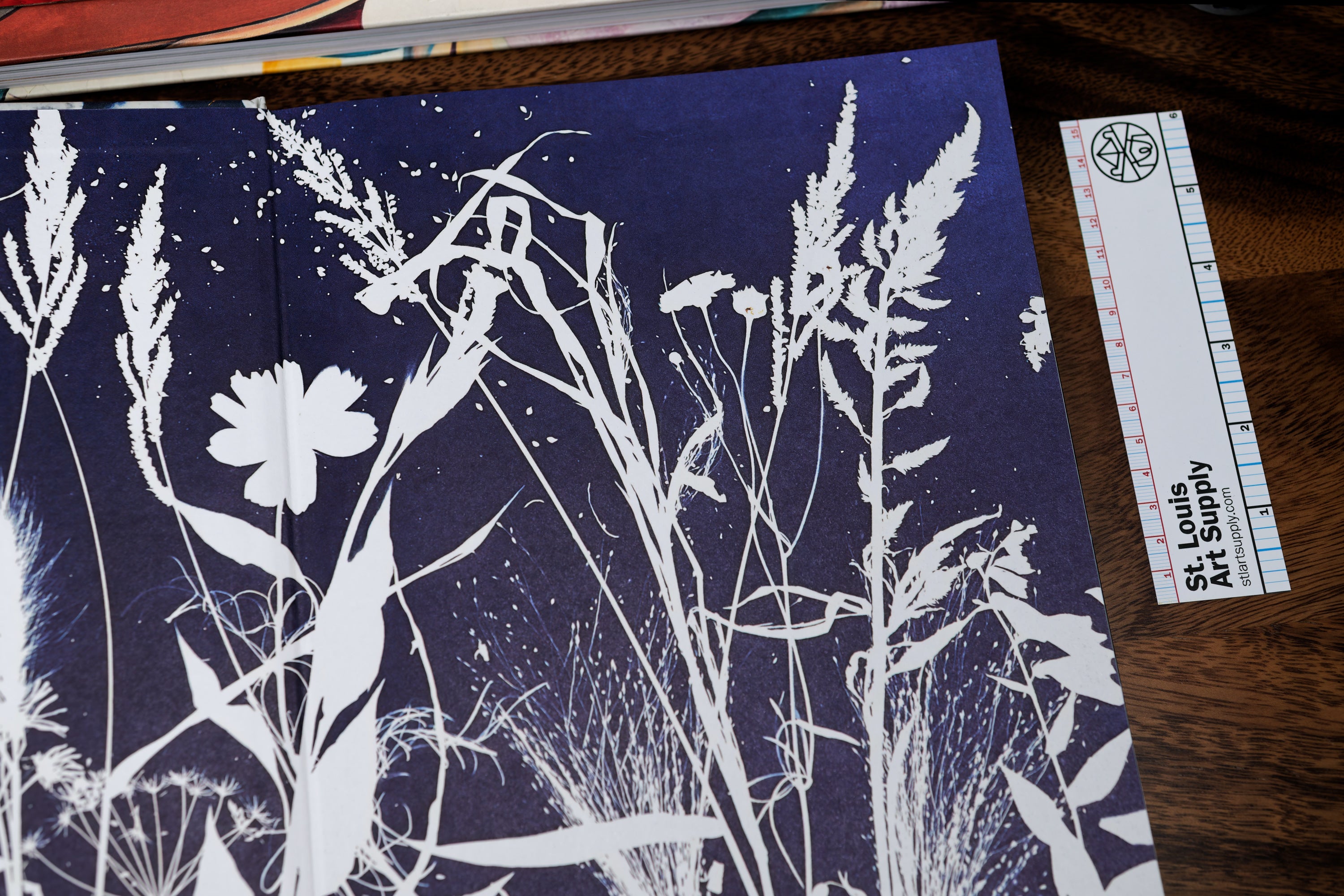 Botanical Cyanotype