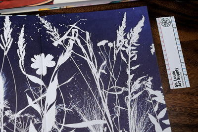 Botanical Cyanotype