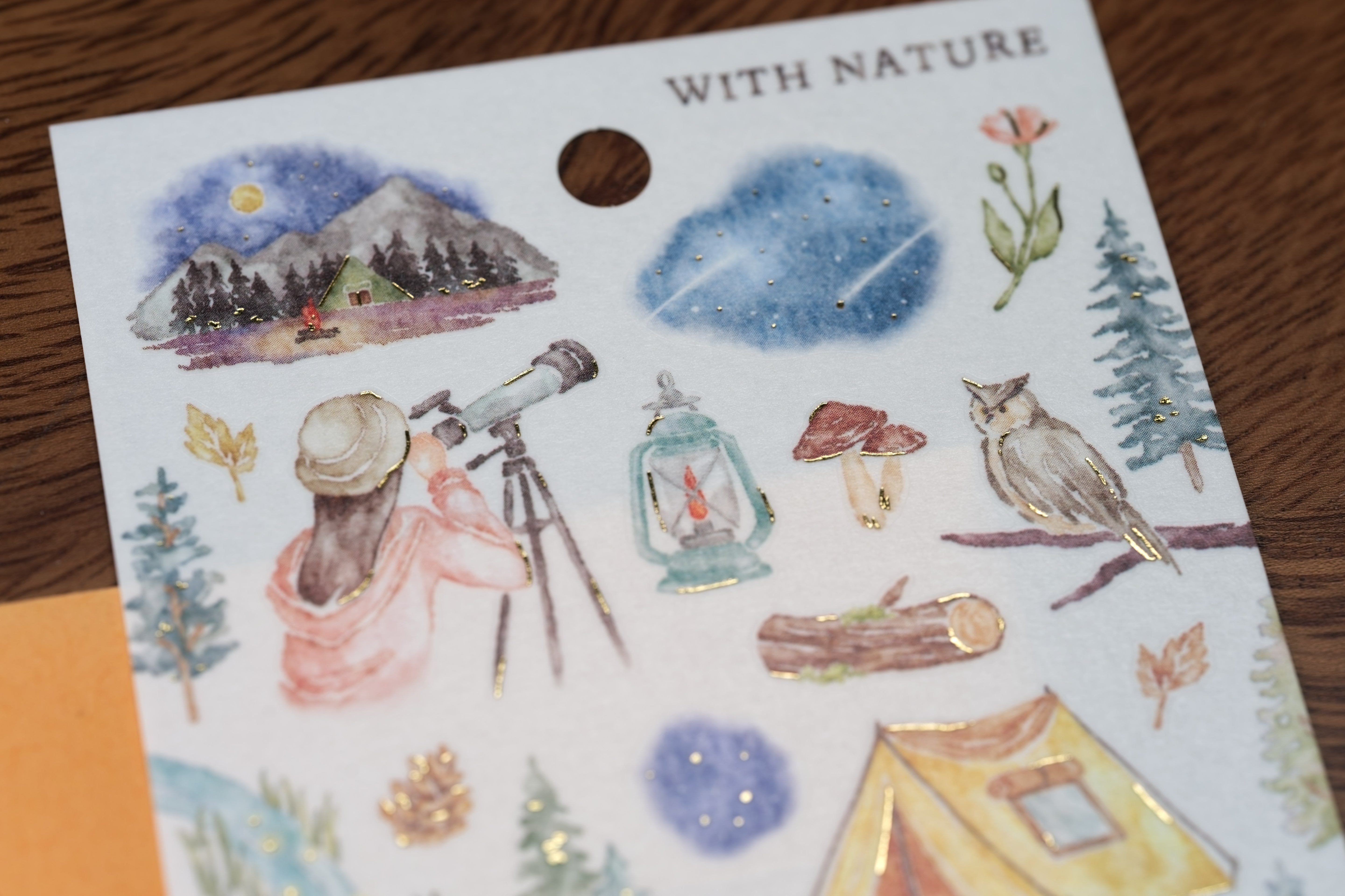 Stargazing Washi Sticker Sheet