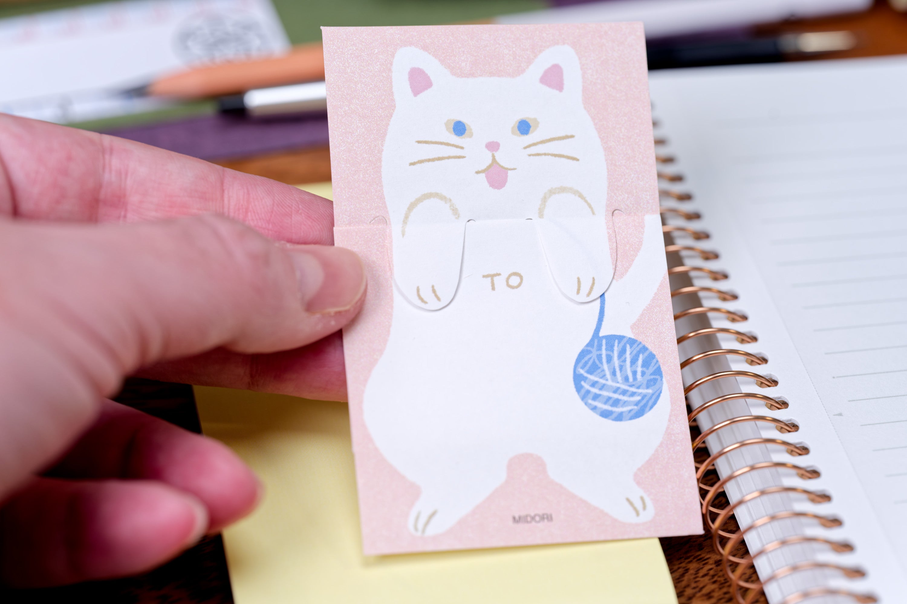 Long Cat Memo Paper (Pack of 18)