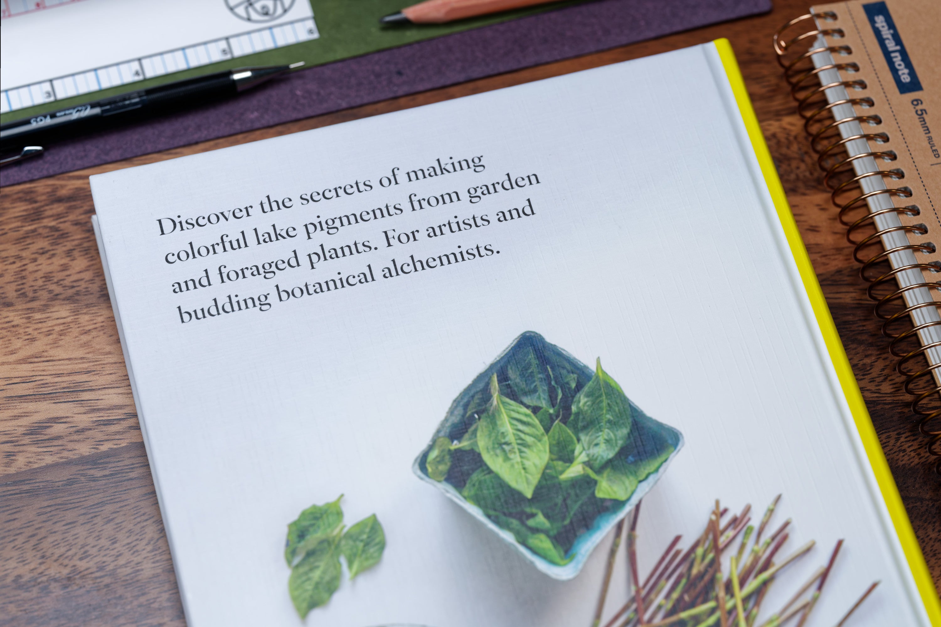 From Plant to Pigment