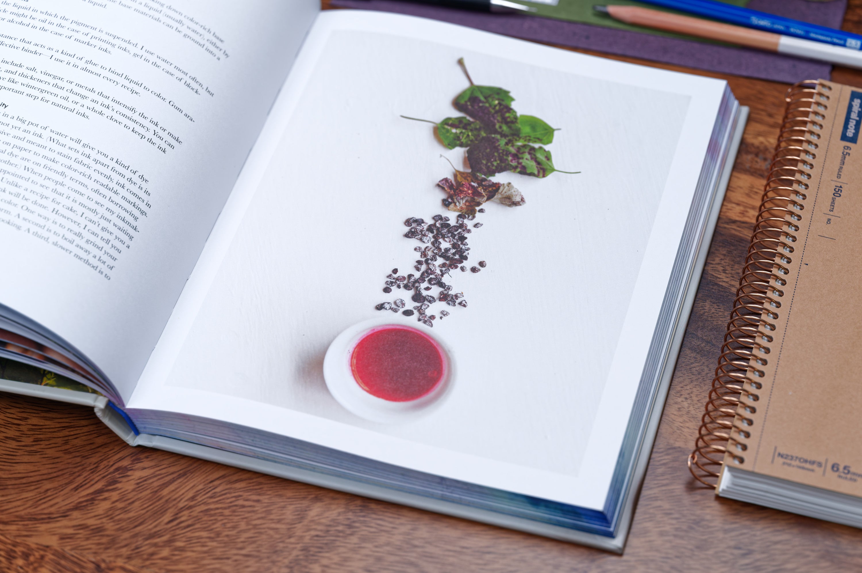 Make Ink: A Forager's Guide to Natural Inkmaking