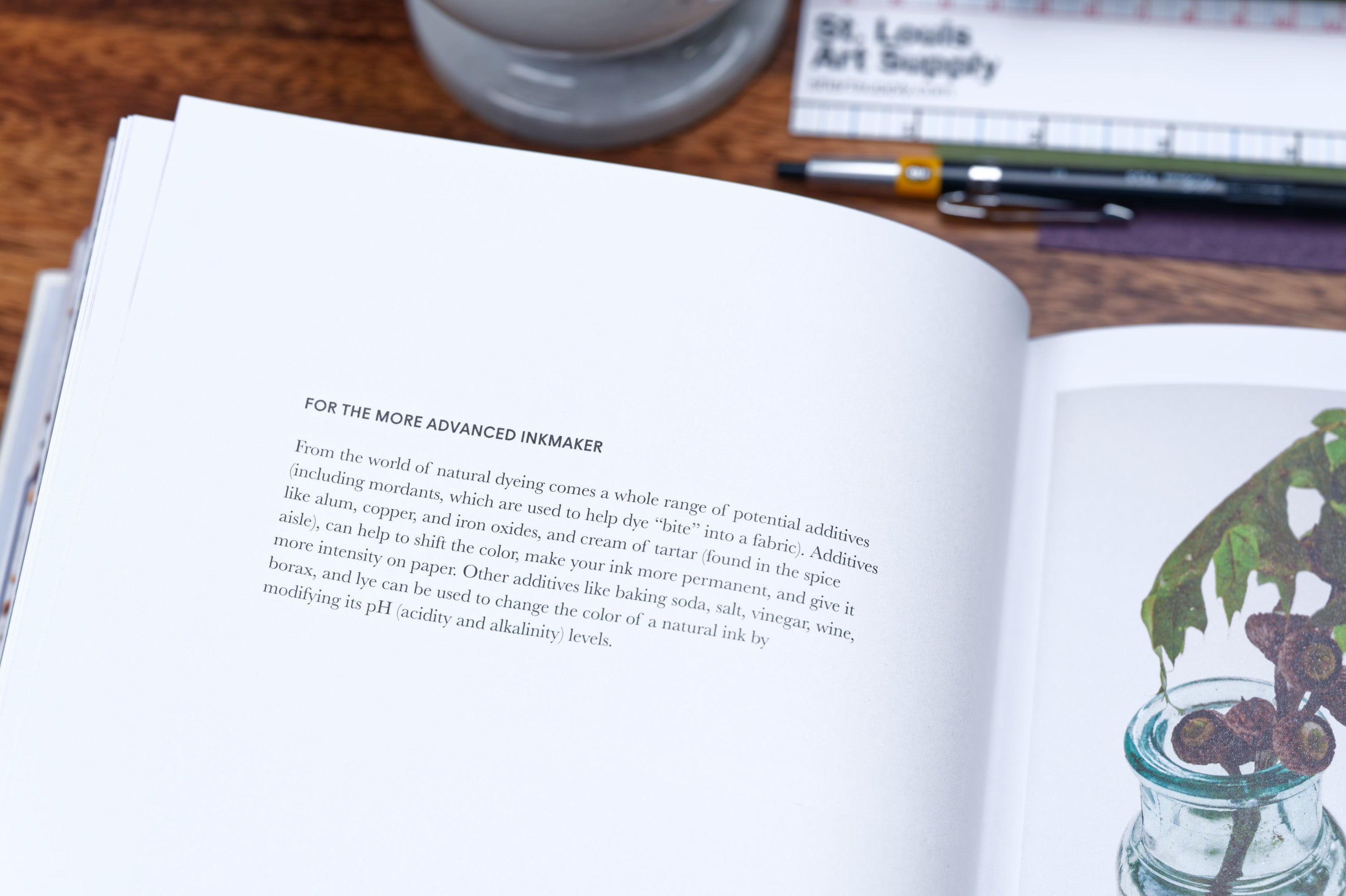 Make Ink: A Forager's Guide to Natural Inkmaking