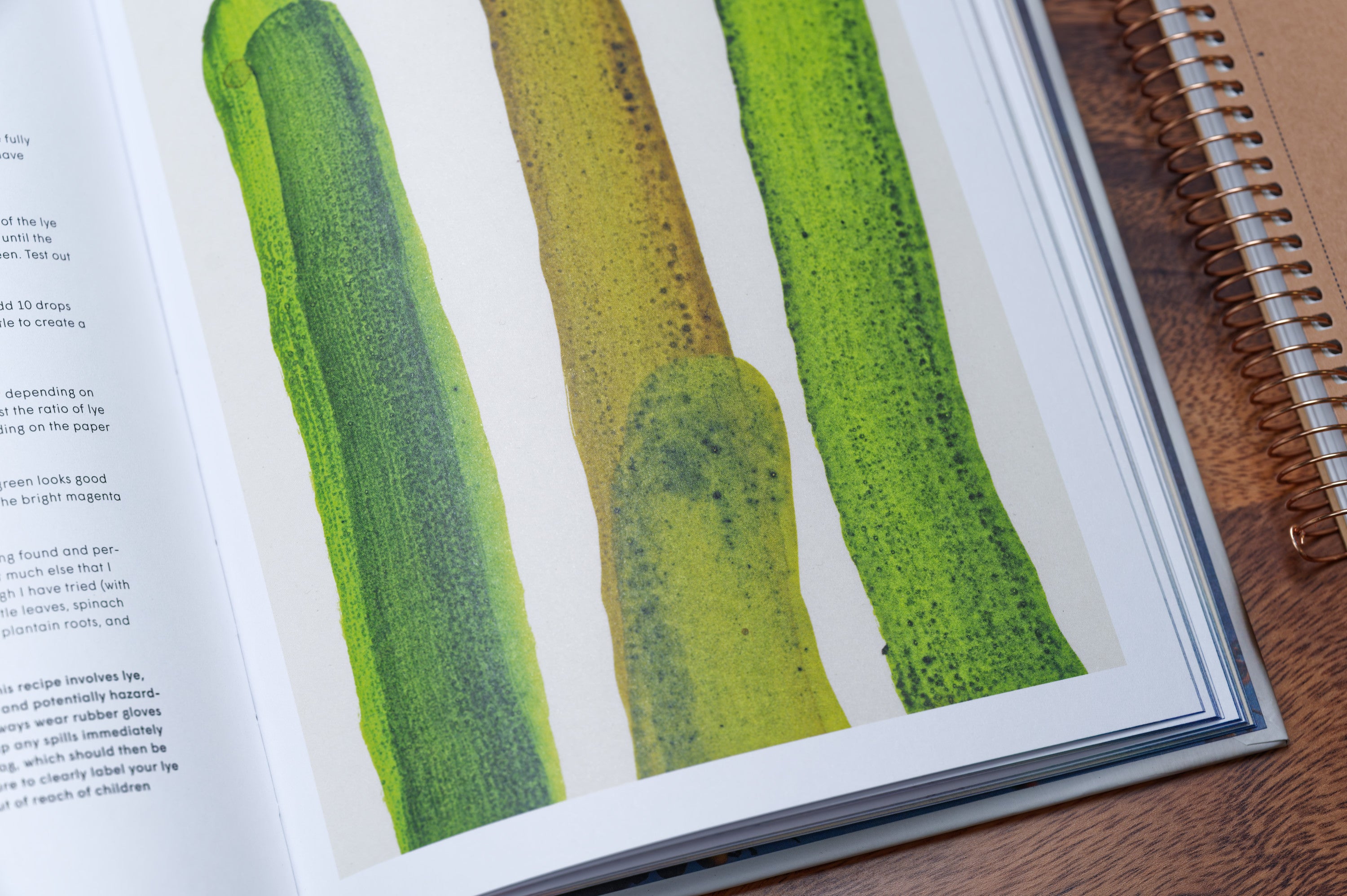Make Ink: A Forager's Guide to Natural Inkmaking