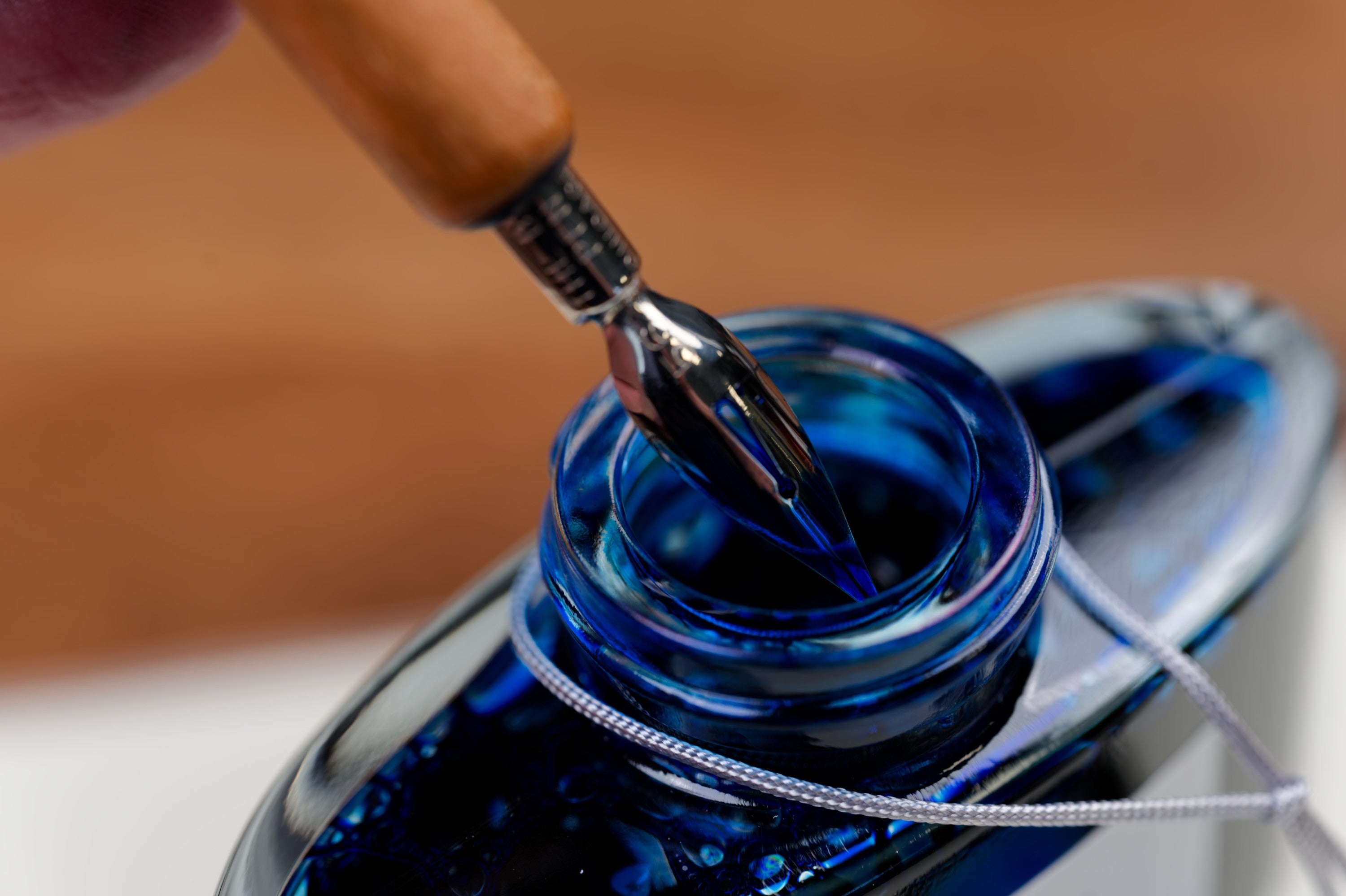 Pilot Iroshizuku Fountain Pen Ink, 50 mL, <fuyu-gaki>