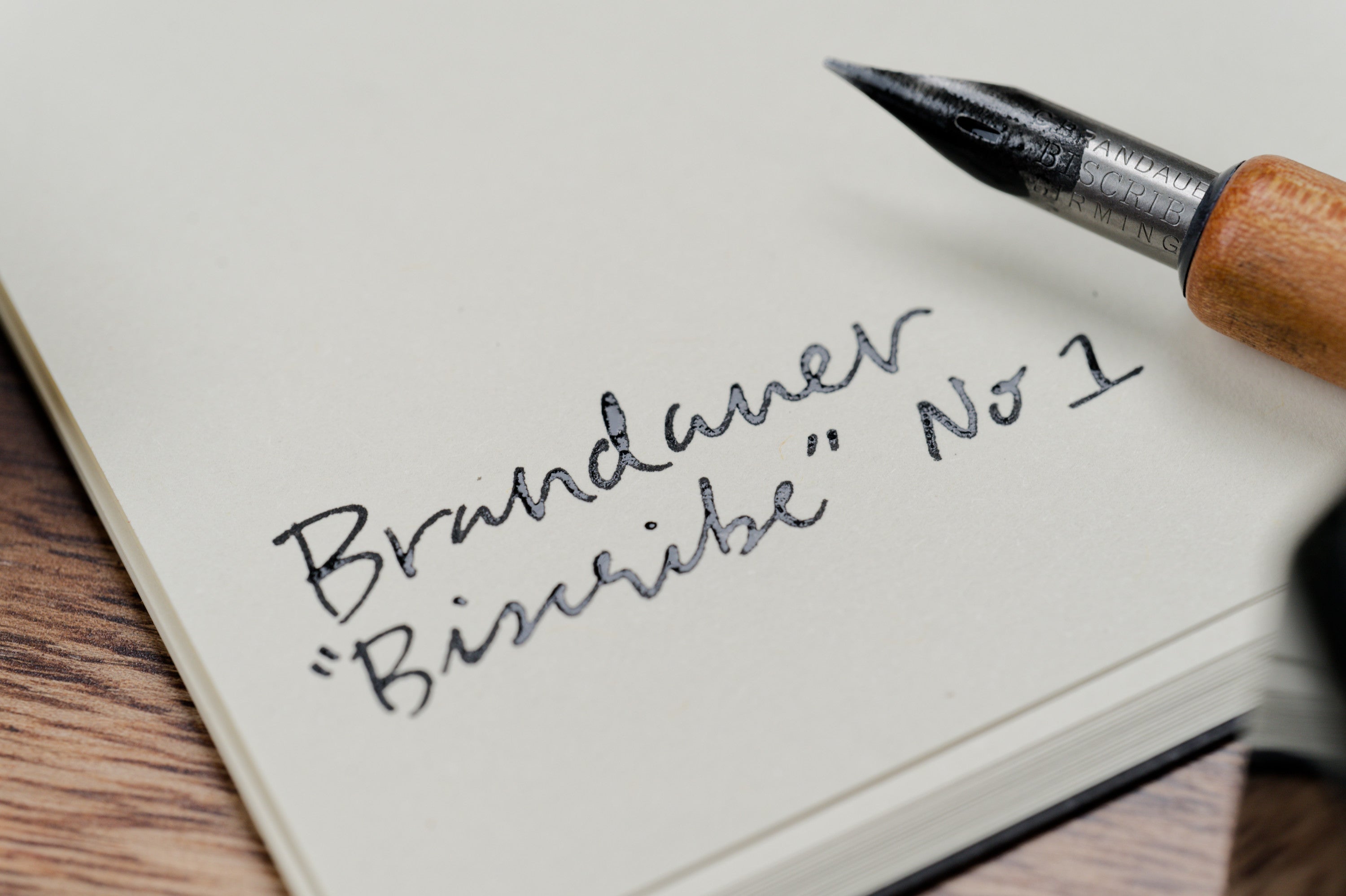 Brandauer Biscribe #1 Pen Nib (Vintage)