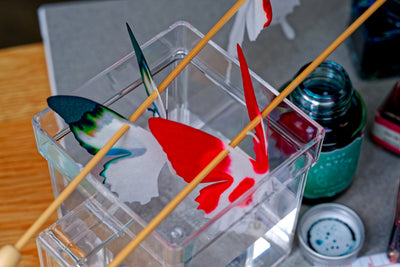 Butterfly Chromatography Kit
