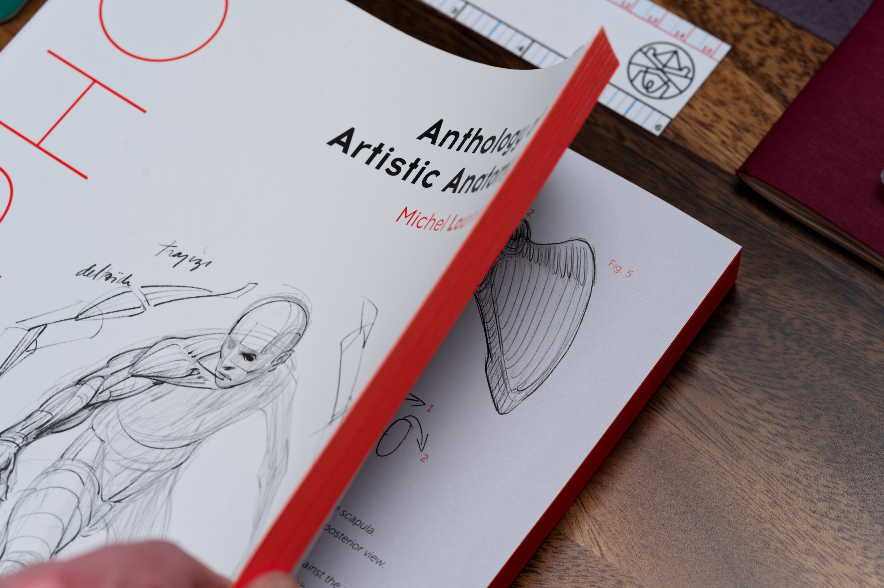 Morpho: Anthology of Artistic Anatomy