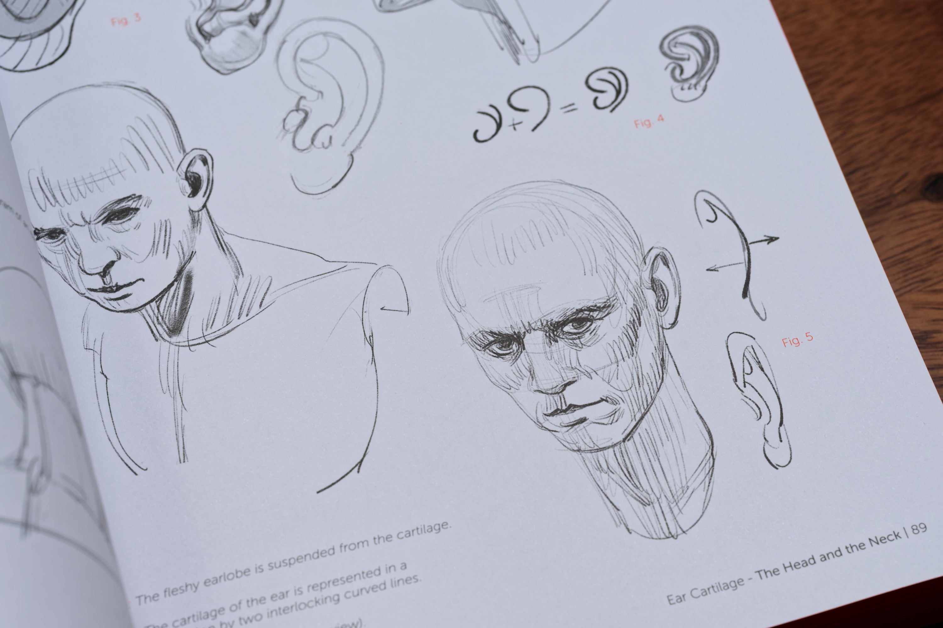 Morpho: Anthology of Artistic Anatomy