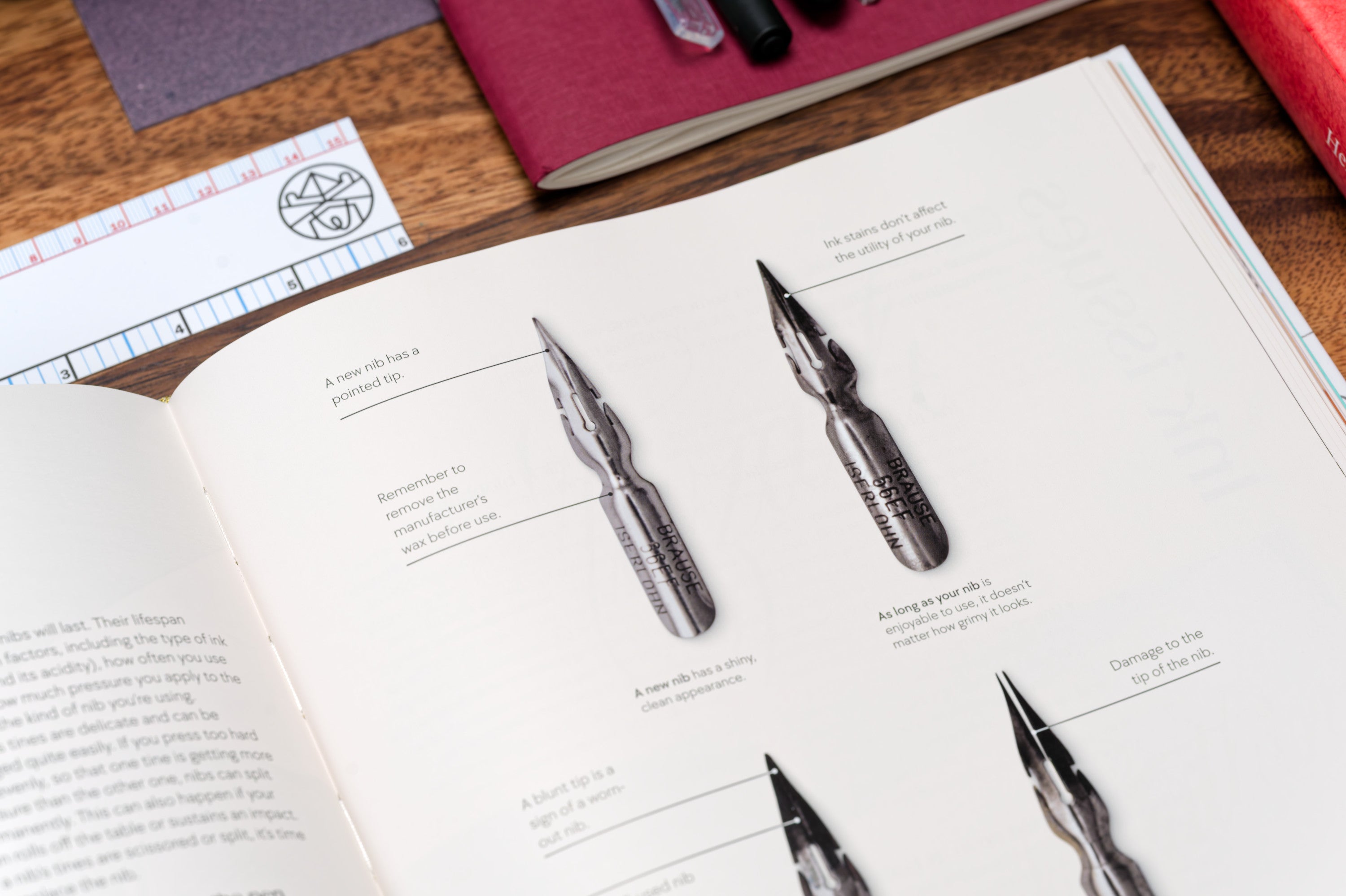 The Calligraphy Book