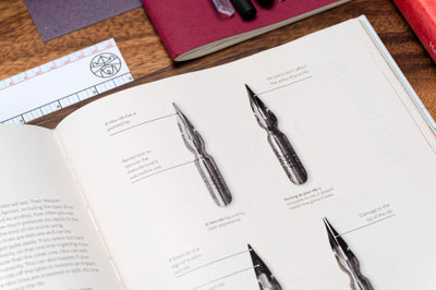 The Calligraphy Book