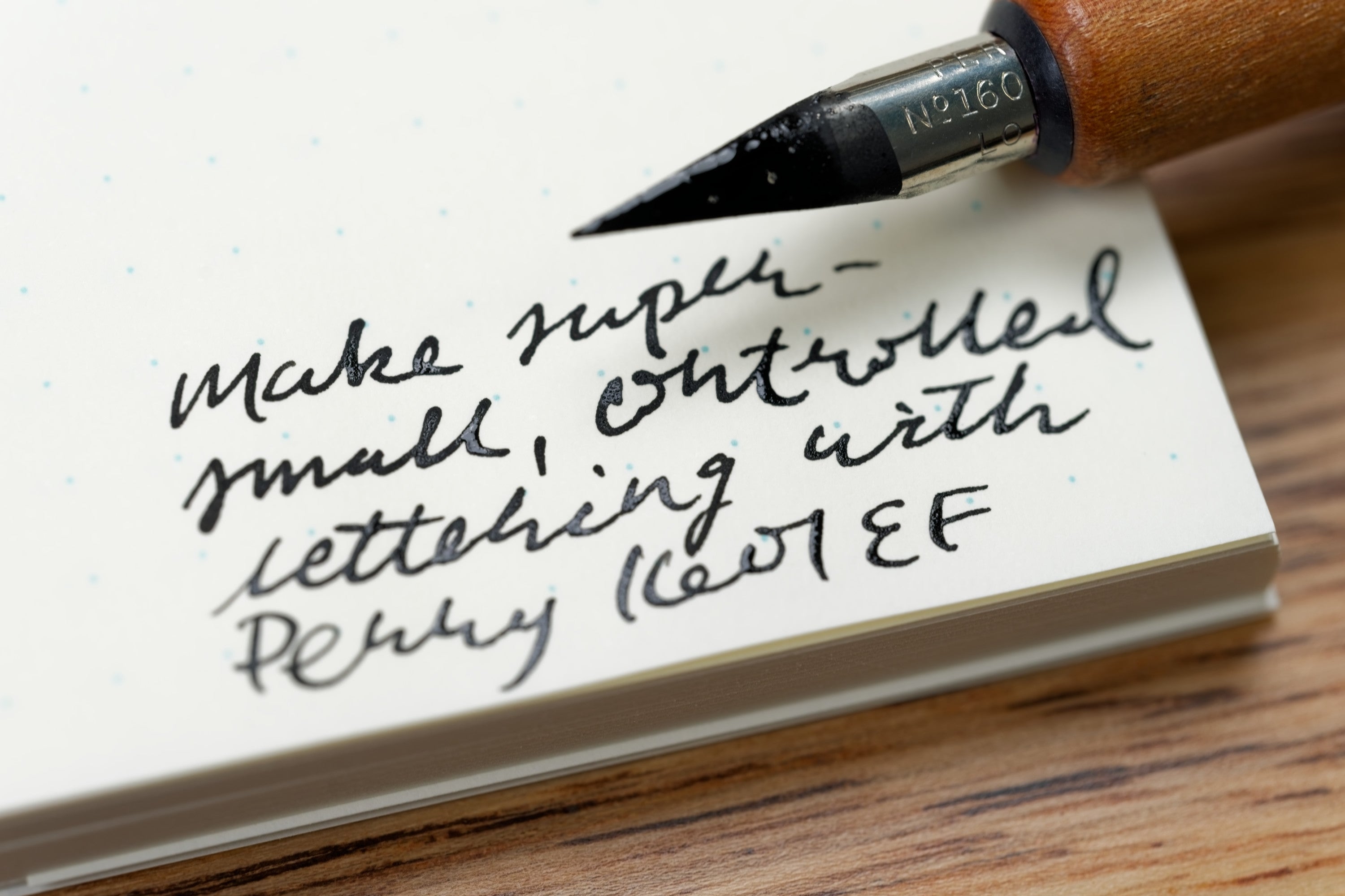 Perry #1601 Extra Fine Nib (Vintage)