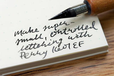 Perry #1601 Extra Fine Nib (Vintage)