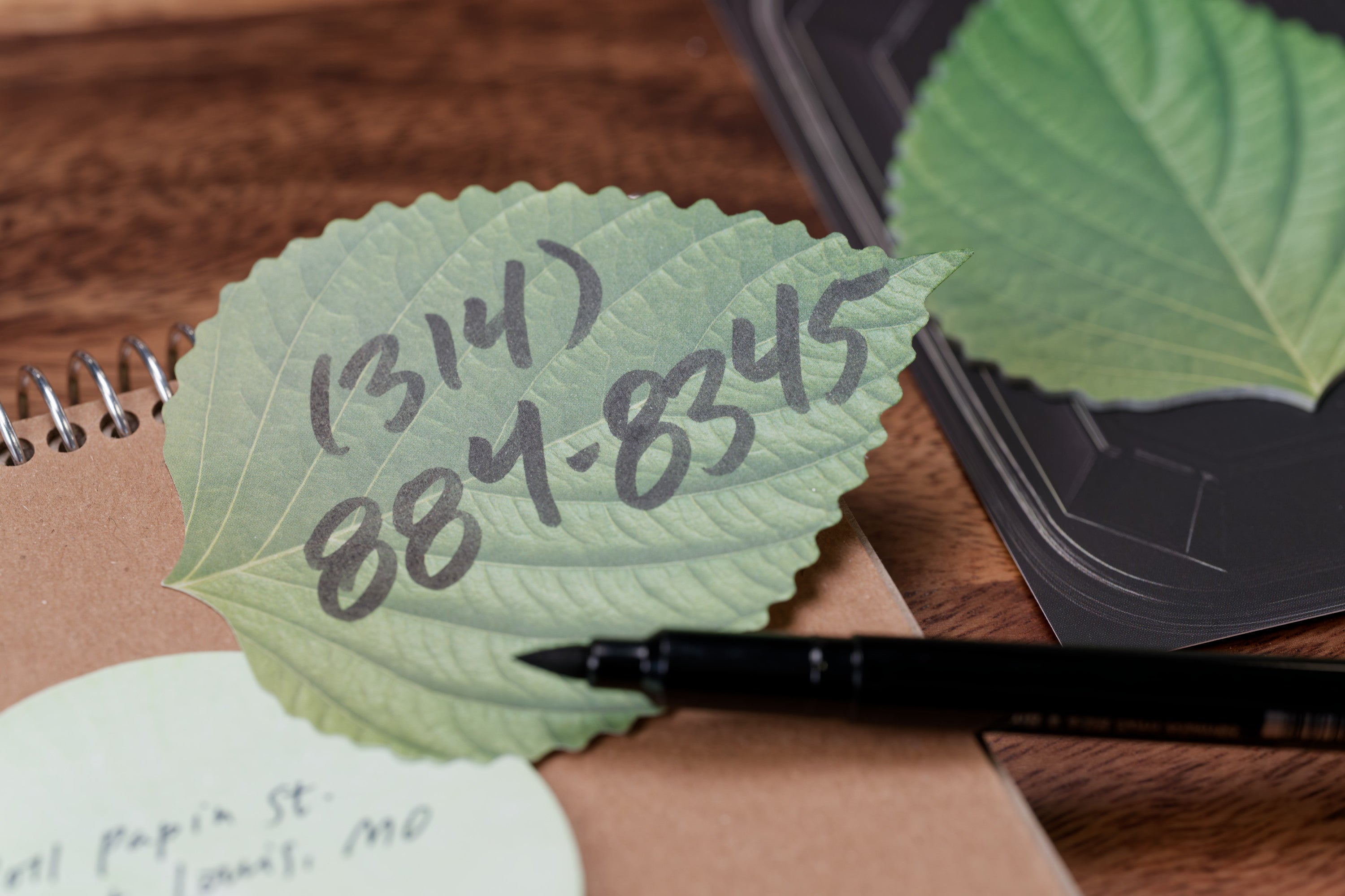 B8 Mart Sticky Notes, Perilla Leaf