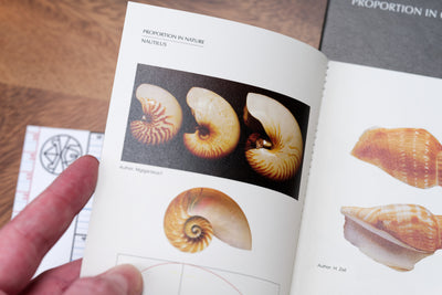 Visual Harmony: Proportion in Graphic Design