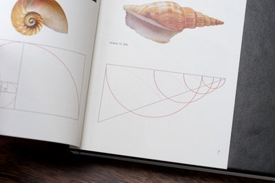 Visual Harmony: Proportion in Graphic Design
