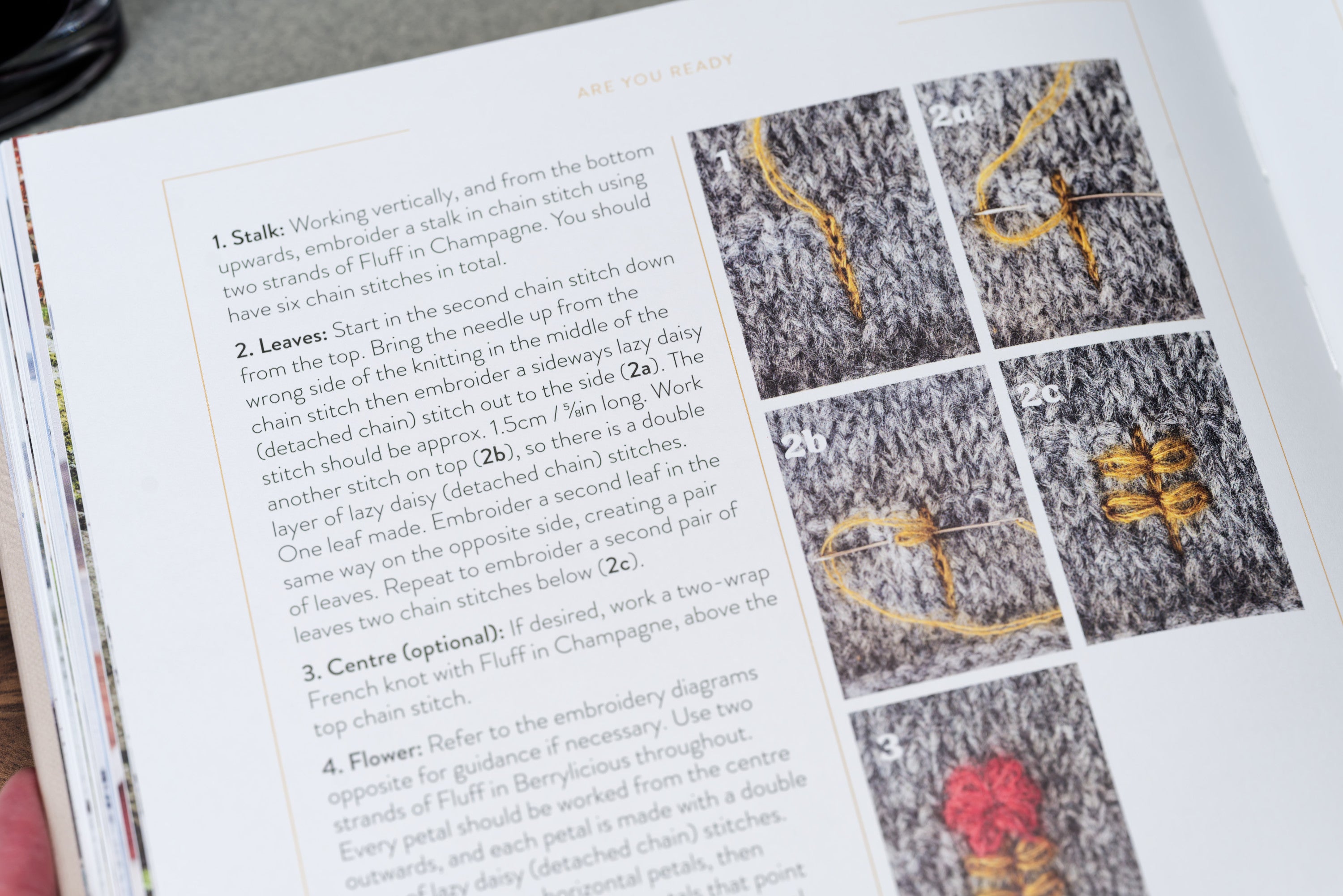Embroidered Knits
