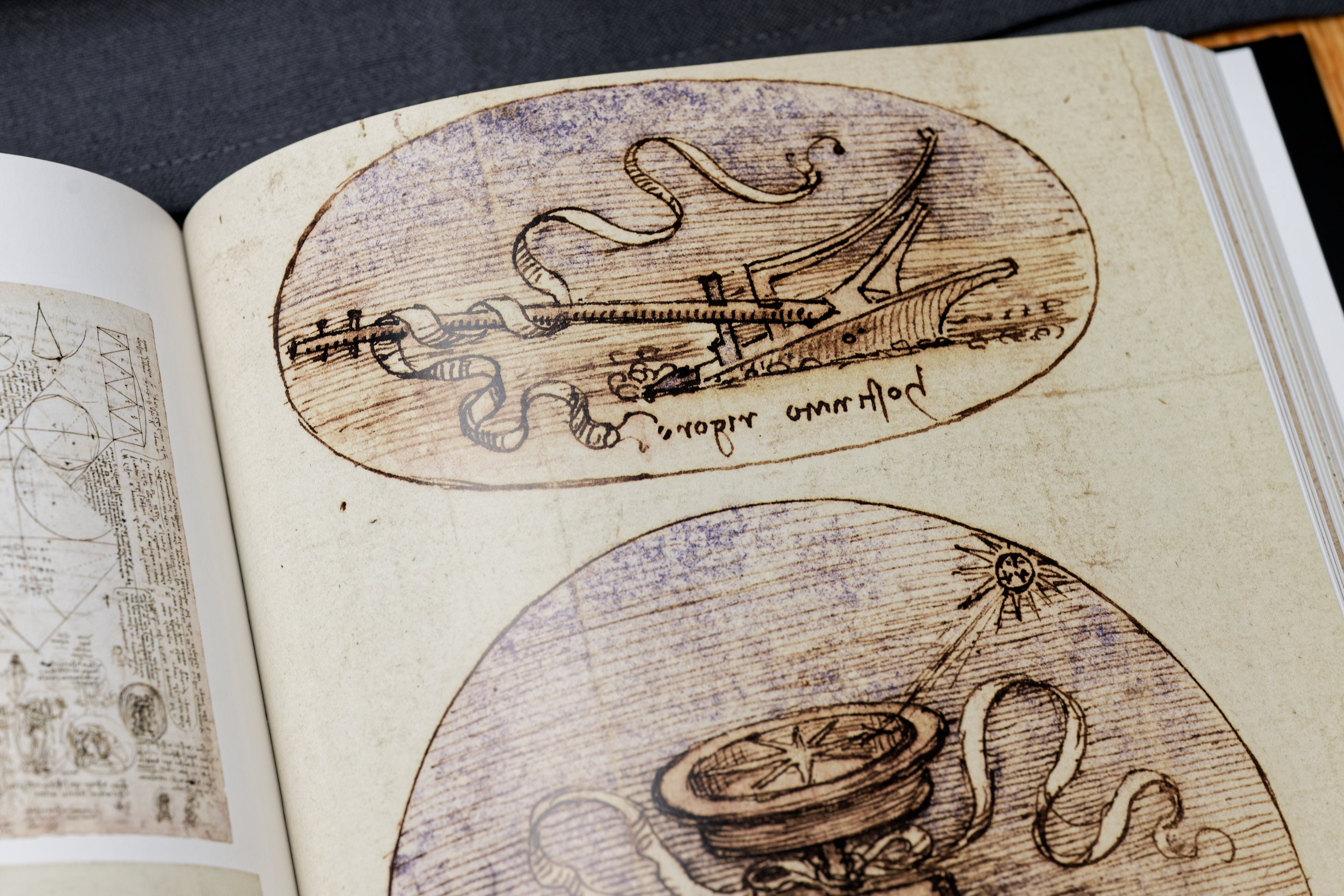 Leonardo: The Complete Paintings and Drawings