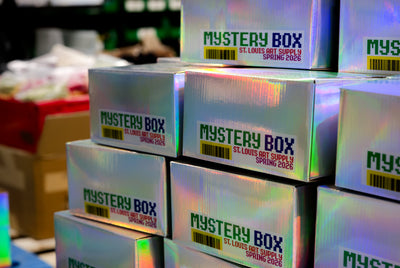 Mystery Box 2026: Even Shinier