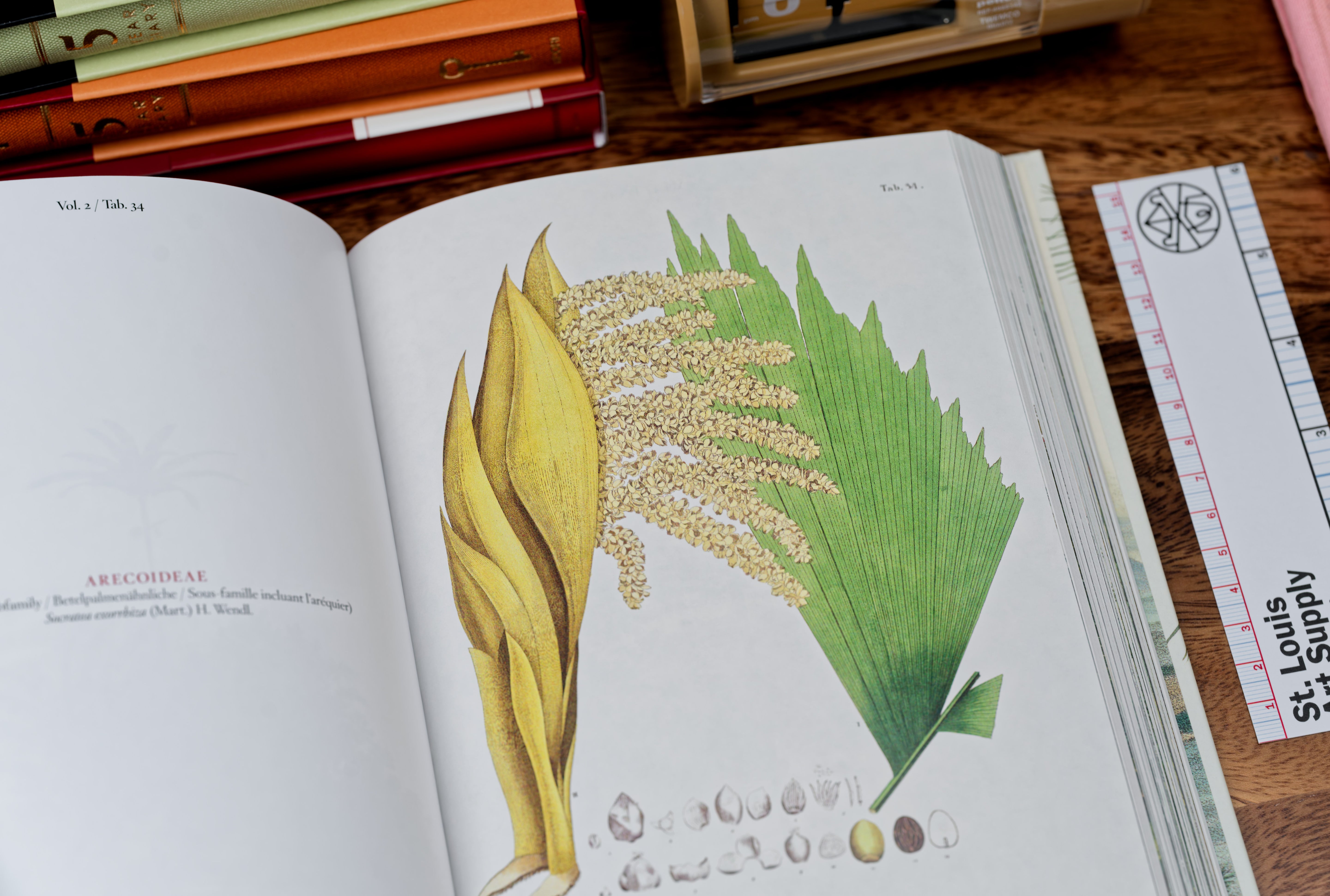 Book of Palms