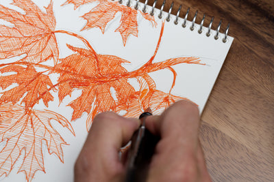 Federal Fountain Pen Ink — Beta Test Kit