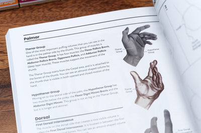 The Secrets of Artistic Anatomy