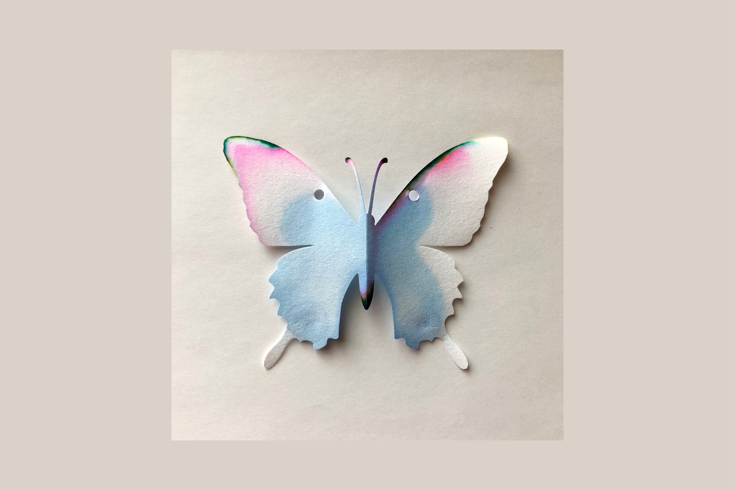 Butterfly Chromatography Kit