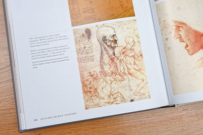 Dynamic Human Anatomy