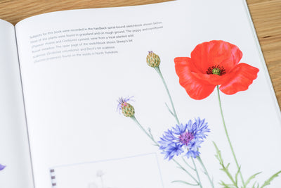 The Kew Book of Botanical Illustration