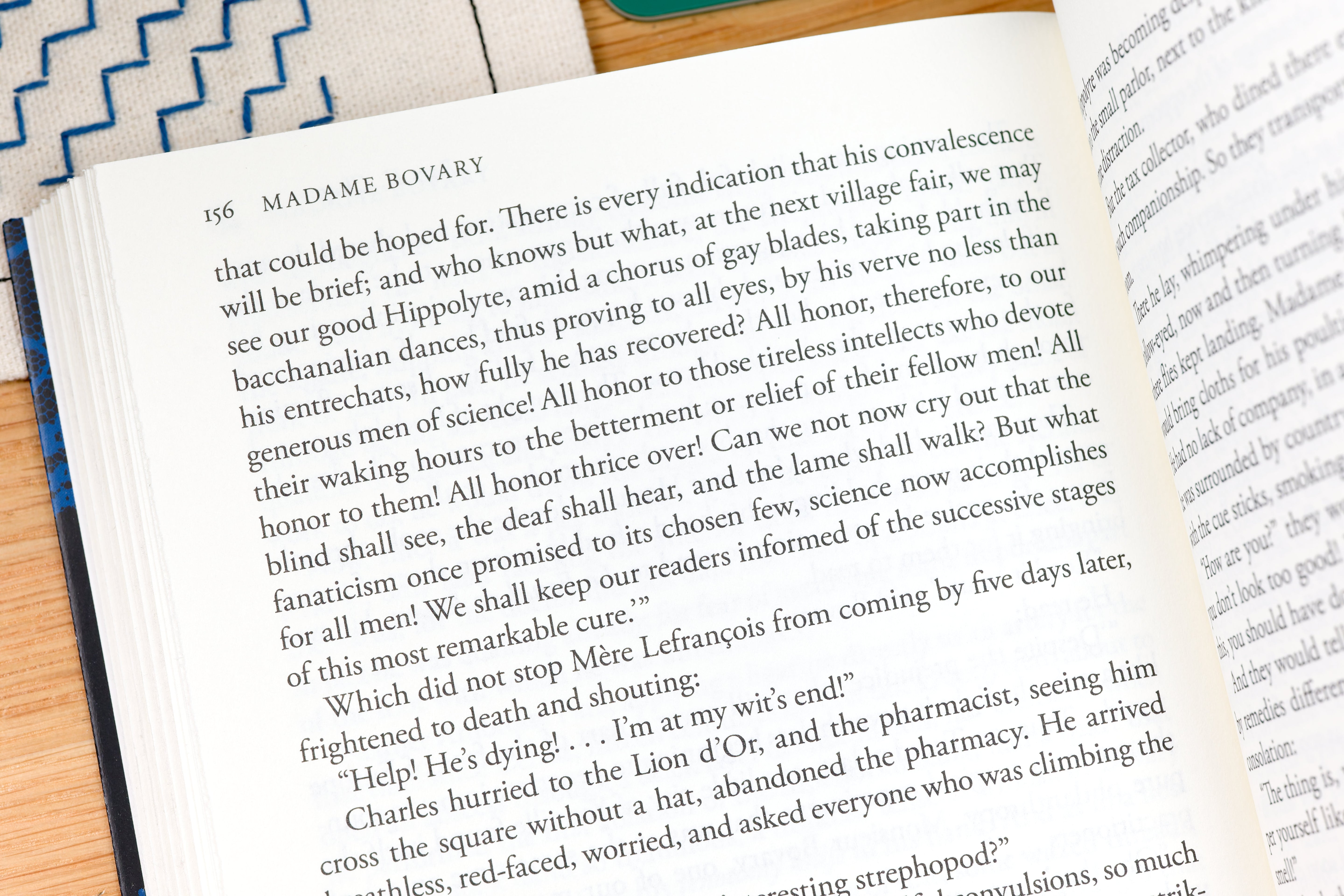 Madame Bovary