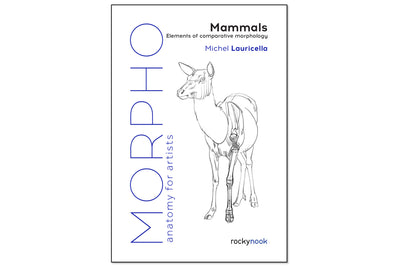 Morpho Anatomy Handbooks: Mammals
