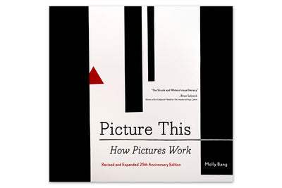 Picture This: How Pictures Work