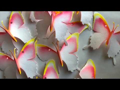 Butterfly Chromatography Kit