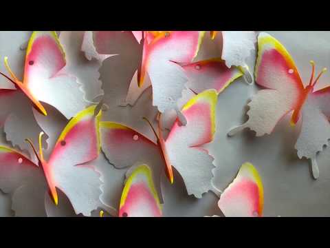 Butterfly Chromatography Kit