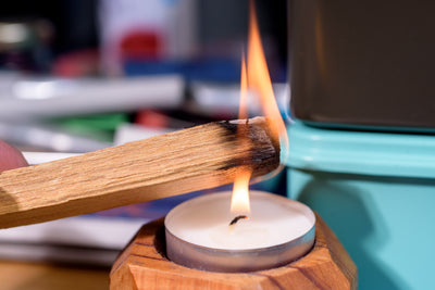 Palo Santo + Palma Dulce Bundle