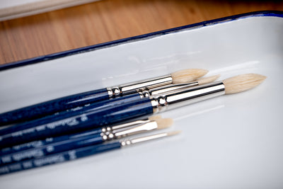 Setola Extra Short-Handled Bristle Brushes, Series 392 (Flat)